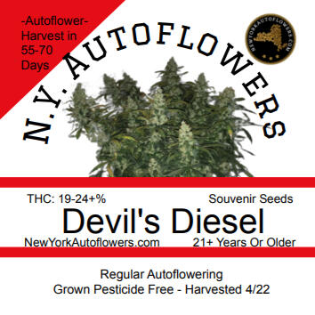 Devils Diesel