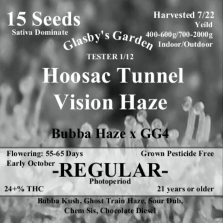Hoosac Tunnel Vision Haze